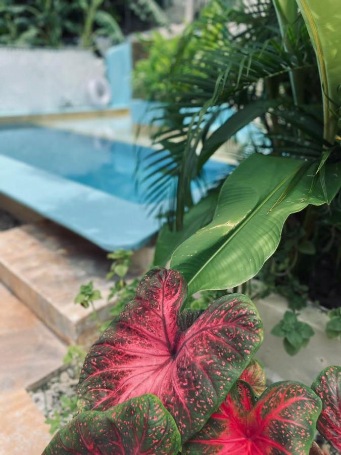 La Sirena 호텔 푸에르토 에스콘디도 외부 사진